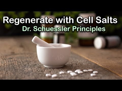Dr. Schuessler's Principles (Tissue Salts)