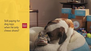 7M views · 6.9K reactions | Wells Fargo on Reels | Facebook