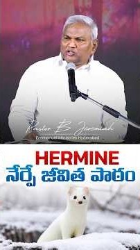 Hermine నేర్పే జీవిత పాఠం #emmanuelministrieshyderabad #shorts #viralvideo #trending #latest