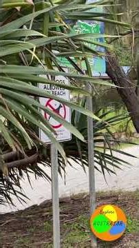 Nambucca Heads-Shelley Beach NSW Australia 🇦🇺