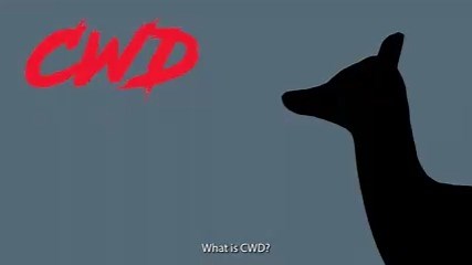 14K views · 160 reactions | Chronic wasting disease detected in...