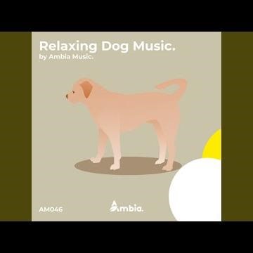 Relaxing Songs for Dogs and Puppies