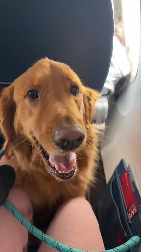 Christmas Travel Vlog: San Diego to Myrtle Beach Adventure