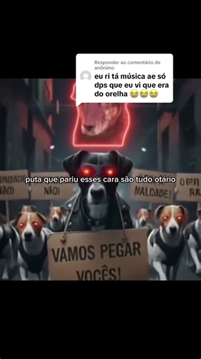 Respondendo a @anônimo #JustiçaPorOrelha #cachorro #praiabrava #santacatarina #floripa