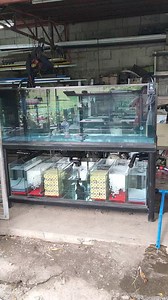 281K views · 3.5K reactions | Automatic waterchange change testing.. #diyprojects #aquariumhobby #hightlightseveryone | Kuya Lito DIY Philippines | Facebook