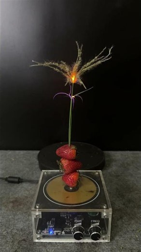 Tesla Coil Test #experiment #viralshorts #scienceexperiment #teslacoil