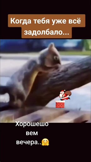 הסרטונים של Ritka (@ritka2907) עם оригинальный звук - Ritka