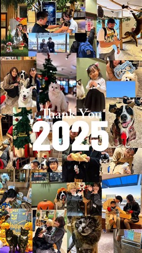 アニミルお台場店 on Instagram: "* 2025年も今日で最後！ アニミルにとって、今年も濃く充実した1年となりました🙌🏼 新しい仲間がやってきてくれてり、新しい挑戦をしてみたり、、、 動物さんたち、そしてスタッフにも沢山の良い刺激がある1年となりました。 そんな1年を過ごすことが出来たのは、いつも応援してくださる皆様のおかげです。 SNSからのメッセージはもちろん、直接スタッフにも応援のメッセージをくれるなど、様々な方法でアニミルを支えていただき本当にありがとうございます‼️ ⁡ 2026年も応援してくださる皆様が楽しんでいただくために、そして動物さんたちのより良い環境づくりのために、アニミルは進化を続けます。 ぜひこれからのアニミルもどうぞよろしくお願いいたします‼️ * グーグルでAnimealもしくはアニミルで検索してね！ 公式ホームページはコチラ→https://animeal.jp/ * Reservations are not possible. * #アニミル #animeal"