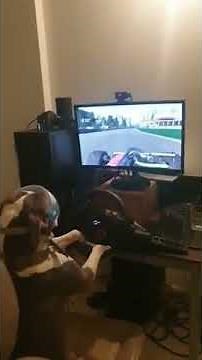 Dog playing video games - 1075605