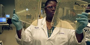 Researchers rewire the genetics of E. coli, make it virus-proof