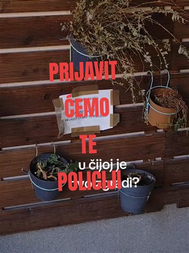 nađimo počinitelja budući da je Split, kakvo je cviće u pitanju? #fyp