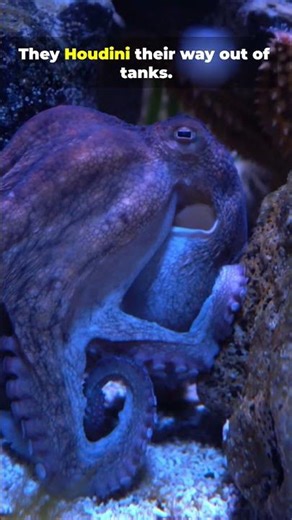 you WONT believe this