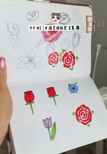 Легкие рисунки цветов: от роз до тюльпанов