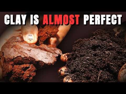 The One Thing Clay Soil Is Missing