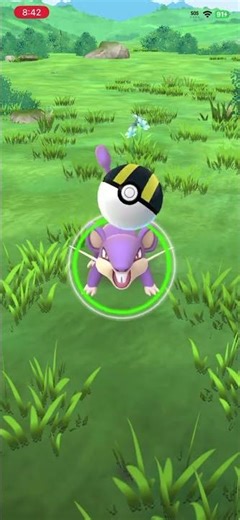#pokemongo Catching a Rat Lol