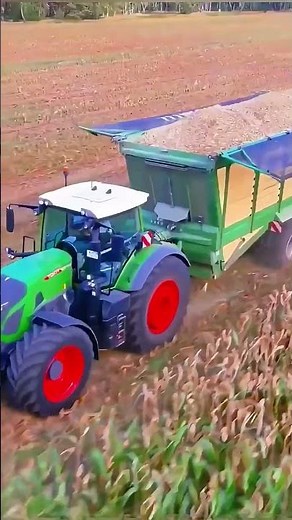 🌾 Cosechadora Combinada Gigante en Acción 🚜 #farming #agriculture