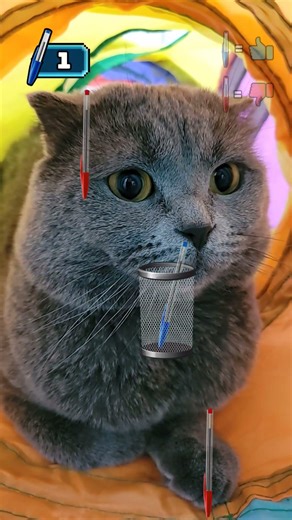 Kuşların geleceği yok biraz tünel evimde vakit geçireyim 😸