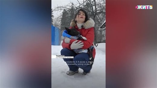 приют «Особый друг»
