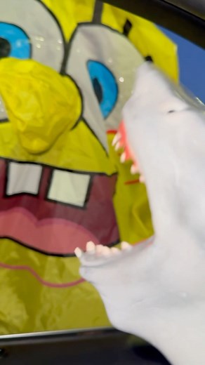 Shark Puppet ✪ on Instagram: "PICKLES 🥒"