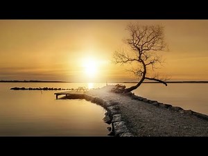 Best Relaxing Music Collection Calm, Meditation, Sleep, and Stress Relief Music