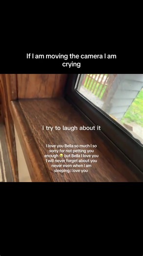 frog_vr12 (@frog_vr1)’s videos with A Dream - Flatsound