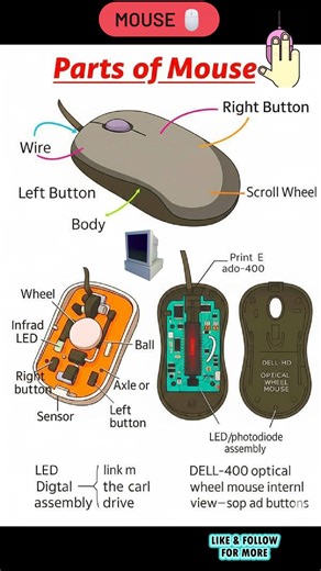 24K views · 184 reactions | ️ Parts of a Mouse #reels #mouse #parts #computer #tipsandtricks #techtips #postoftheday #computertraining #reelsfypシ #reelsviralシ #reelsvideo #viralreelschallenge #viralreelsfb #TechTipTuesday #instagramreels #fbreelsfypシ゚ #TechHome | Tech Home | Facebook