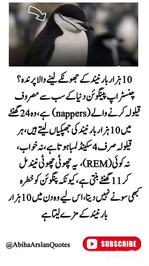 4 Timeless Quotes That Can Change the Way You See Life | Charlie Chaplin’s Wisdom