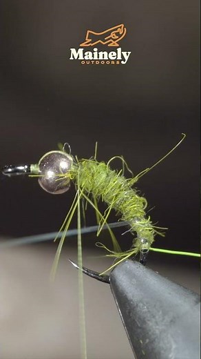 The HOLY Grail of Flies!!