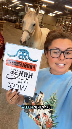 622K views · 40K reactions | ⚠️NEW SERIES⚠️ The “Problematic Horse of the Week” will be coming at you every Monday from now on! | Katie Van Slyke | Facebook