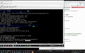 psql容器快速安装