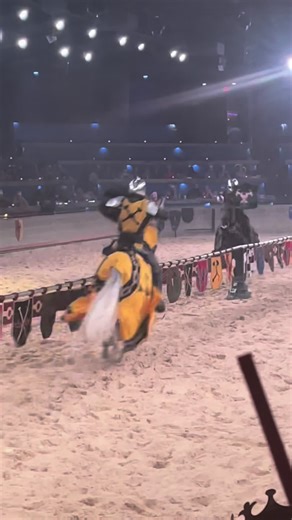 Exploring Medieval Knight Hygiene Practices