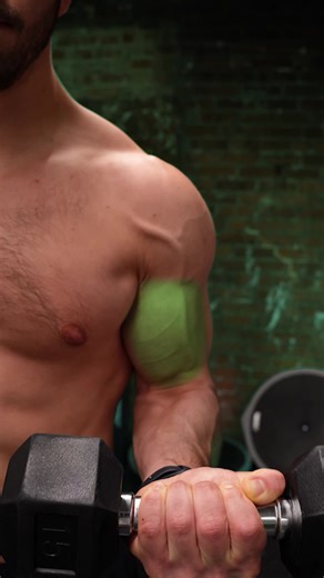 Pronated Curls for Stronger Brachioradialis Muscles