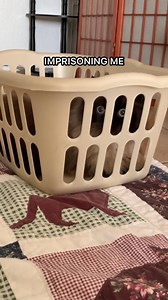 darkness imprisoning me | Friendly Noodles