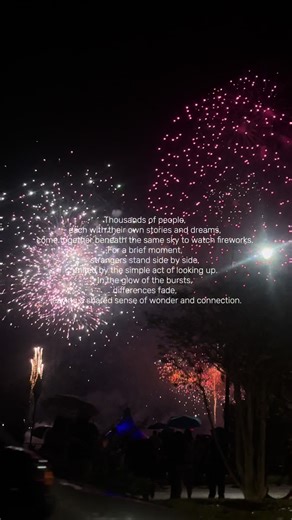 Celebrating Unity Under the Fireworks Sky