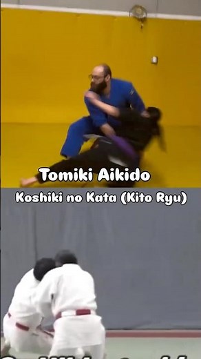 Tomiki Aikido & Kito Ryu - Hiki Otoshi #aikido #judo #jujutsu