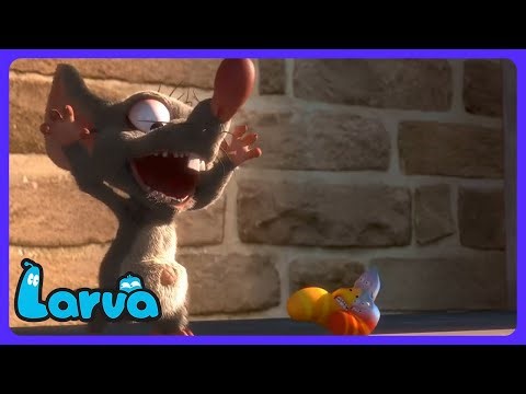 Larva - Magic Fortune Cookie | Kids Cartoons | WildBrain Robot Dome