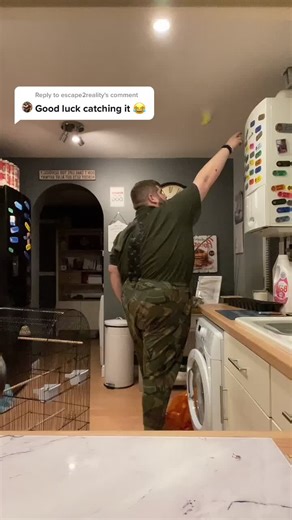 How to Catch a Pigeon: Tips and Techniques