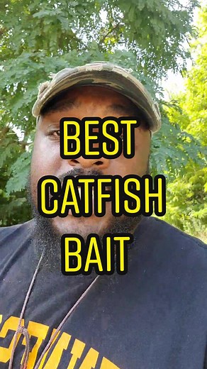 Best Catfish Bait: What Works & How to Find It