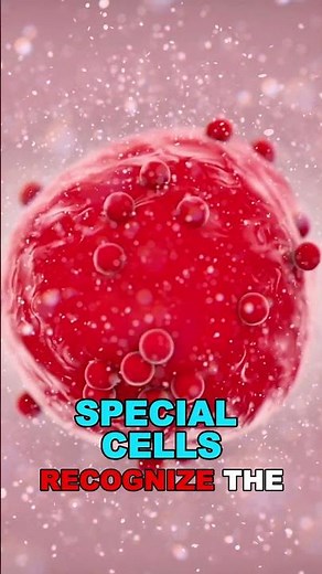 How Injection Works in the Human Body?