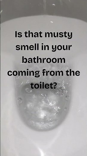 The Ultimate Toilet Repair Guide - Tank Odors #21