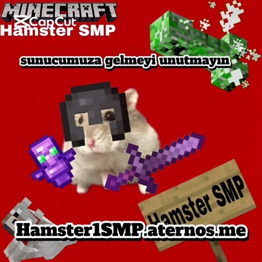 suncumuza gelmeyi unutmayın Hamster1SMP.aternos.me #minecraft #HamsterCocuk16