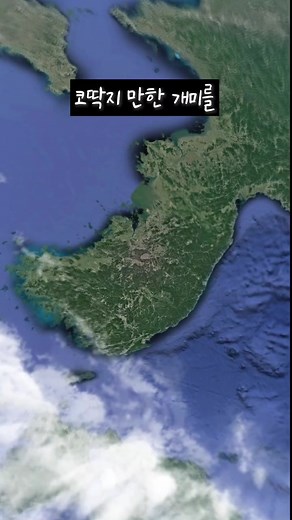 우주에서 개미를 찾아보자 #라이징히어로 #신기한영상 #드론 #구글어스 #googleearth #개미 #틱톡여행 #티로그 #fyp #djimini3pro
