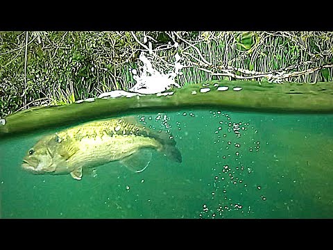 BIG BASS Fishing with UNDERWATER CAMERA! Aqua View!!!