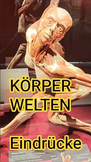 Sehenswert Körperwelten Heidelberg