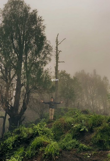 IG : @bywodzer (@wodzer)’s videos with suara asli - wirnz