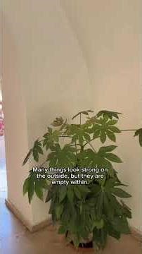 Parable of the Fig Tree