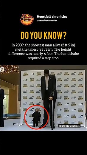 When the World's Shortest Met the Tallest! 😲 #shorts