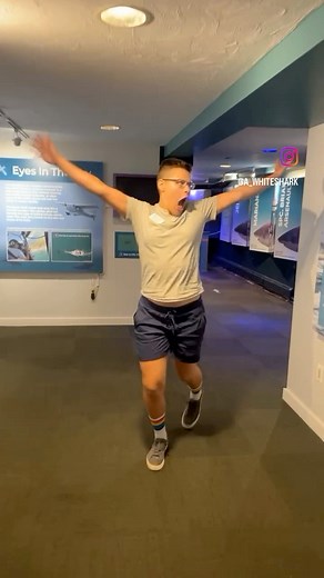 23K views · 158 reactions | Our Shark Center Provincetown team is ready for you to come visit the space! For up to date hours, information, and tickets purchases, head over to our website! | Atlantic White Shark Conservancy | Facebook