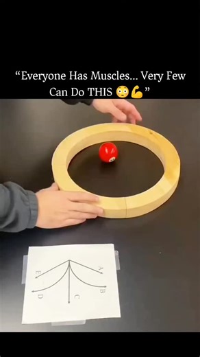 Crown Explorer on Instagram: "SpinLaunch uses a radically different launch system that replaces the fuel-heavy first stage of a rocket with a ground-based accelerator. A satellite is placed inside a large vacuum-sealed centrifuge, where a rotating arm spins it to hypersonic speed, subjecting it to extreme g-forces. Once the target speed is reached, the payload is released and flung upward through a launch port on a near-vertical trajectory. After exiting the dense atmosphere, a small onboard roc