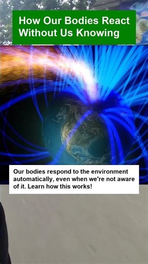 How Our Bodies React Without Us Knowing - OTOMOTIPS